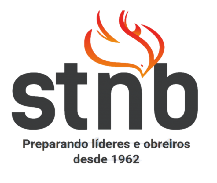 Logo STNB